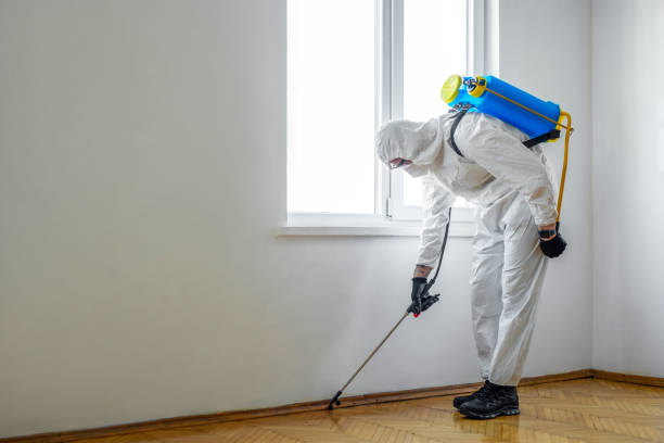 Best Affordable Pest Control Services  in Dublin, VA