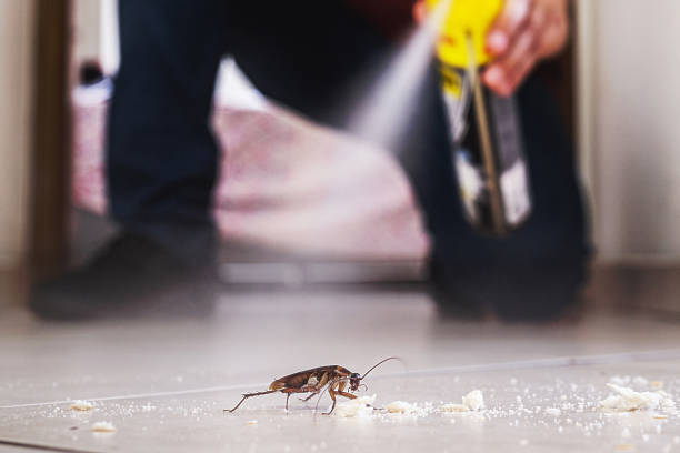 Best Emergency Pest Control  in Dublin, VA